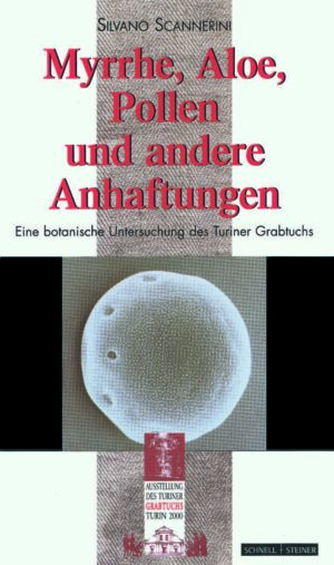Das Bild auf dem Grabtuch. Fotografische Untersuchung und Informatikstudie